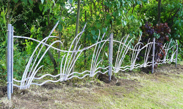 Installation of Bulrush fence